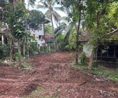 Land For Sale - 1/2