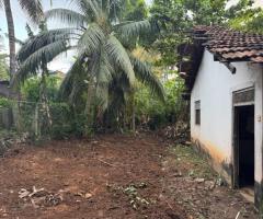 Land For Sale - 2/2