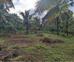 Land For Sale - 2/5