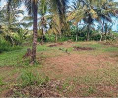 Land For Sale - 3/5