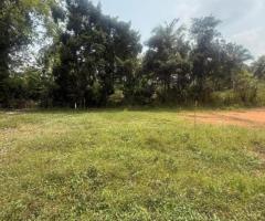 Land For Sale - 2/4
