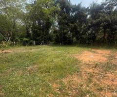 Land For Sale - 4/4