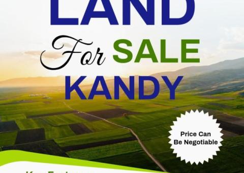 Land For Sale