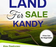 Land For Sale - 1/1