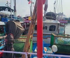 Boat For Sale - 2/3