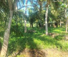 Land For Sale - 1/5