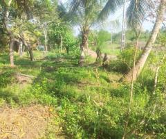 Land For Sale - 2/5