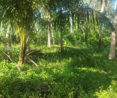 Land For Sale - 4/5