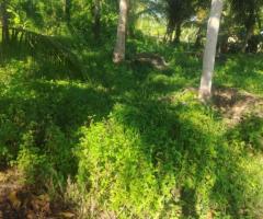 Land For Sale - 5/5