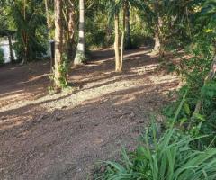 Land For Sale - 2/3
