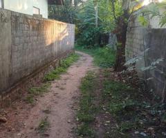 Bodim House For Sale - 4/5