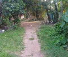 Bodim House For Sale - 5/5