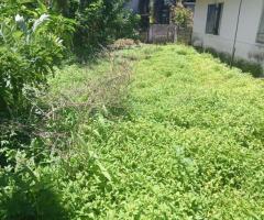 Land For Sale - 2/5