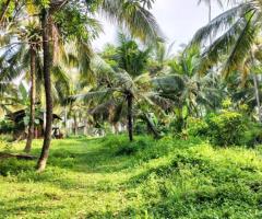 Land For Sale - 2/5