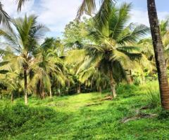 Land For Sale - 3/5