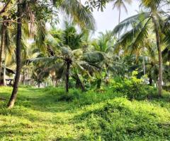 Land For Sale - 4/5