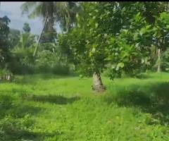 Land For Sale - 3/5