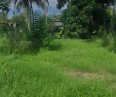Land For Sale - 4/5