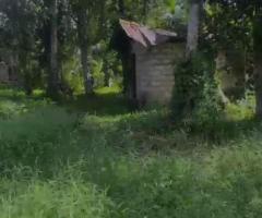 Land For Sale - 5/5