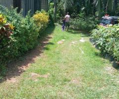 Land For Sale - 1/5