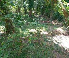 Land For Sale - 3/5