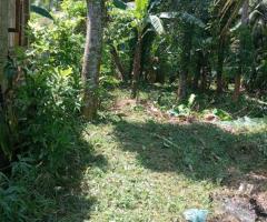 Land For Sale - 5/5