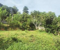Land For Sale - 5/5