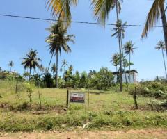 Land For Sale - 1/4