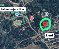 Land For Sale - 2/4