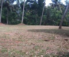 Land For Sale - 1/5