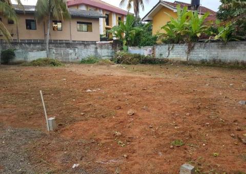 Land For Sale