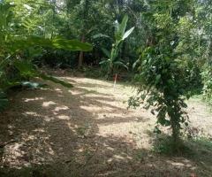 Athurugiriya land for sale