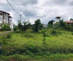 Land For Sale - 1/4