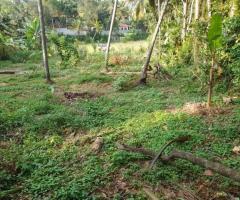 Land For Sale - 1/2