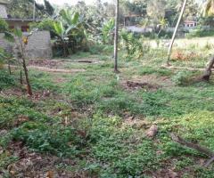 Land For Sale - 2/2