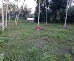 Land For Sale - 1/5