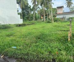 Land For Sale - 2/4