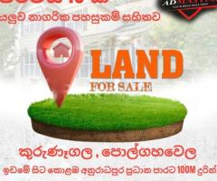 Land For Sale