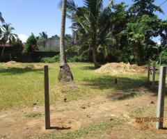 Land For Sale - 2/2