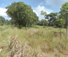 Land For Sale - 4/5