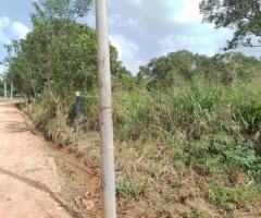 Land For Sale - 5/5