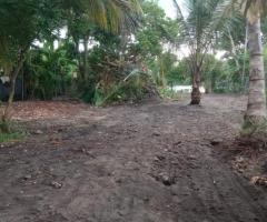 Land For Sale - 4/5