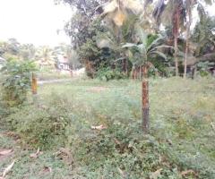 Land For Sale - 1/5