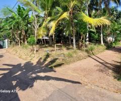 Land For Sale - 1/5