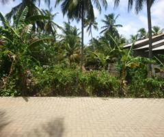 Land For Sale - 2/5