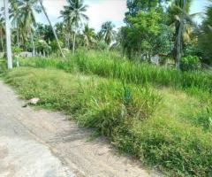 Land For Sale - 2/5