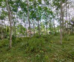 Land For Sale - 2/5