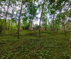 Land For Sale - 3/5