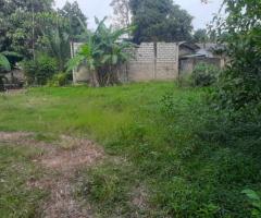 Land For Sale - 5/5