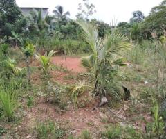 Land For Sale - 1/5